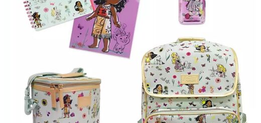 Disney Animators Collection