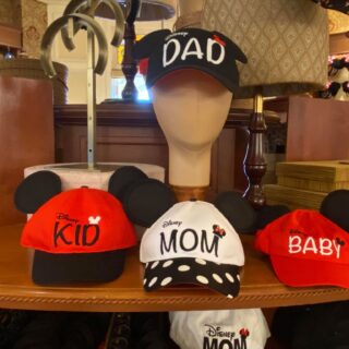 Family Disney hats