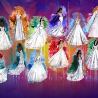 Disney Princess wedding dress