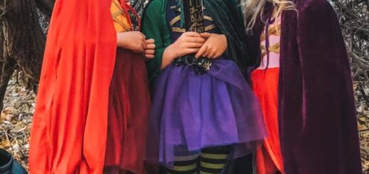 Sanderson sisters costume