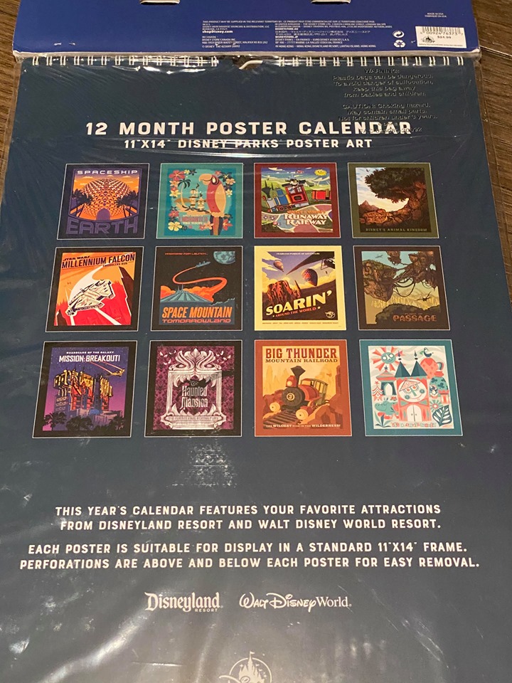 poster calendar front 2021 Disney Parks