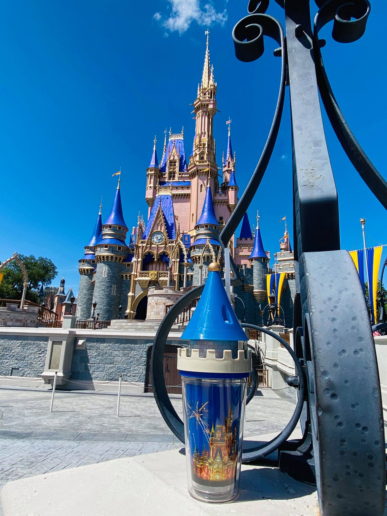 cinderella castle tumbler