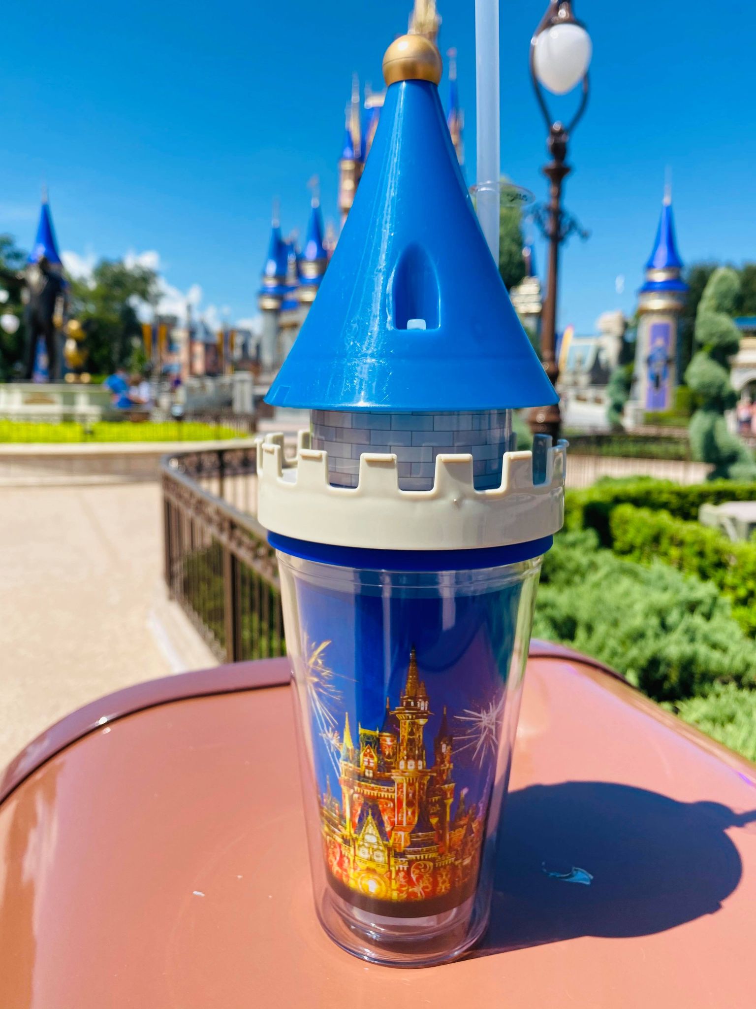 cinderella castle makeover