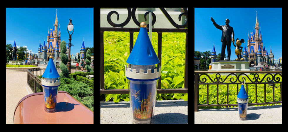 cinderella castle tumbler