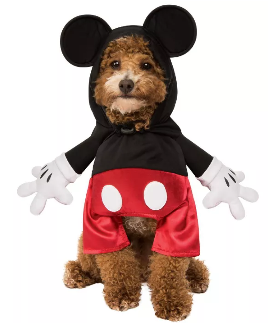 Mickey Mouse dog costume