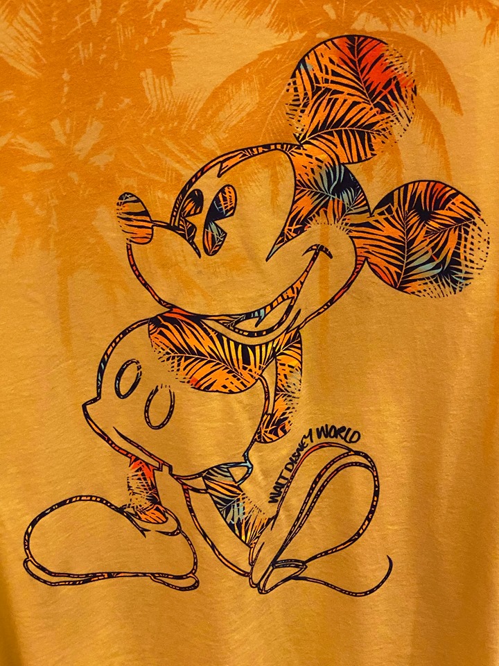 hawaiian Mickey