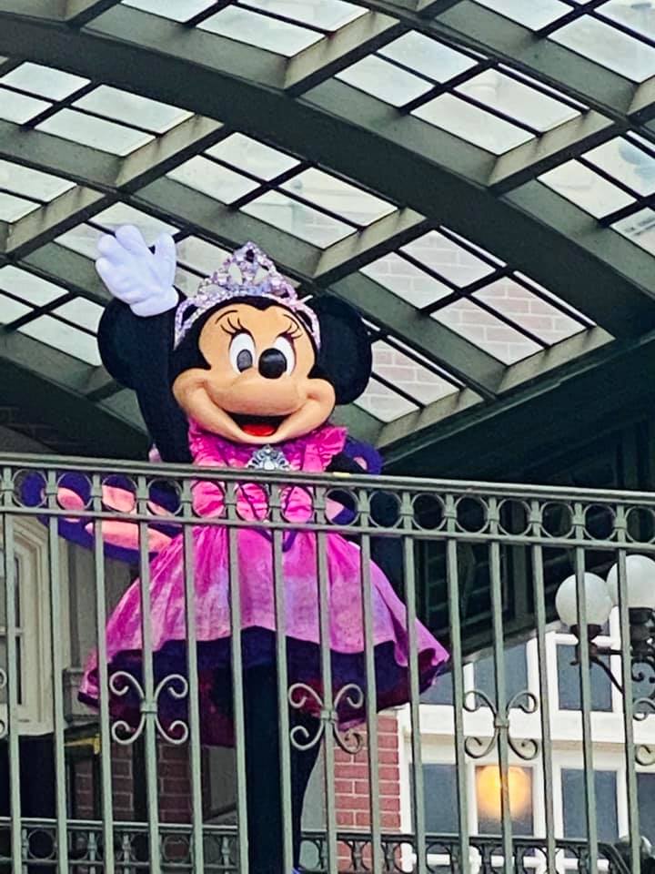 Fairy Minnie