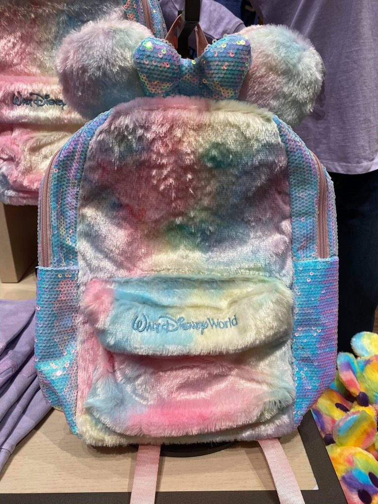 Walt disney world online backpack 2020