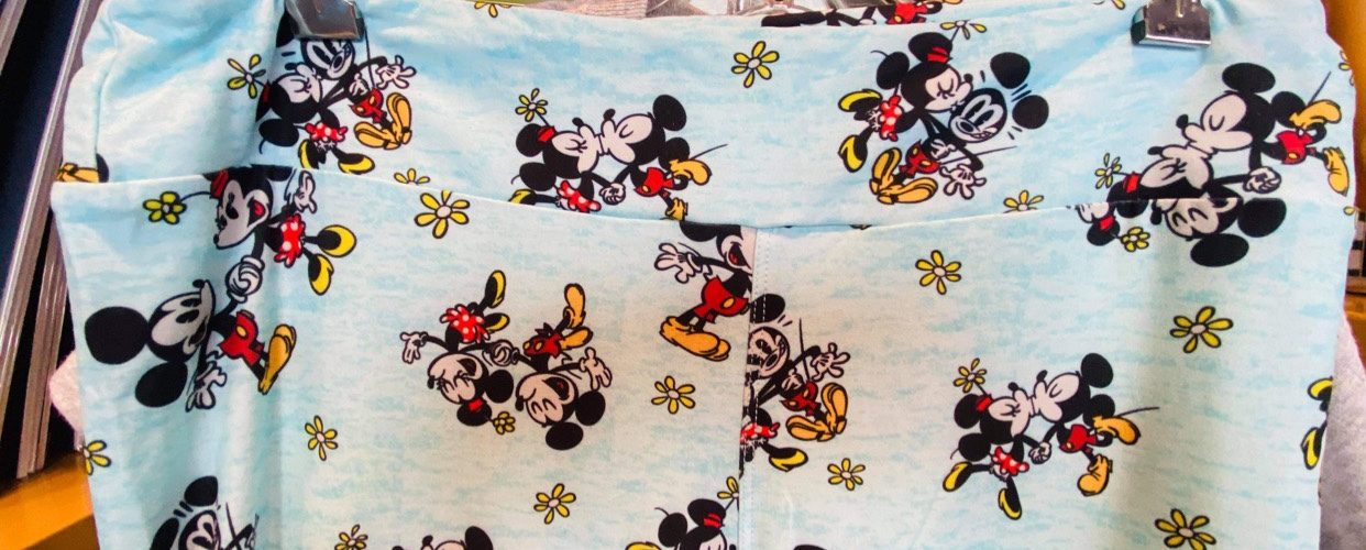 Mickey and Minnie Runaway Railway