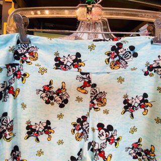 Mickey and Minnie Runaway Railway