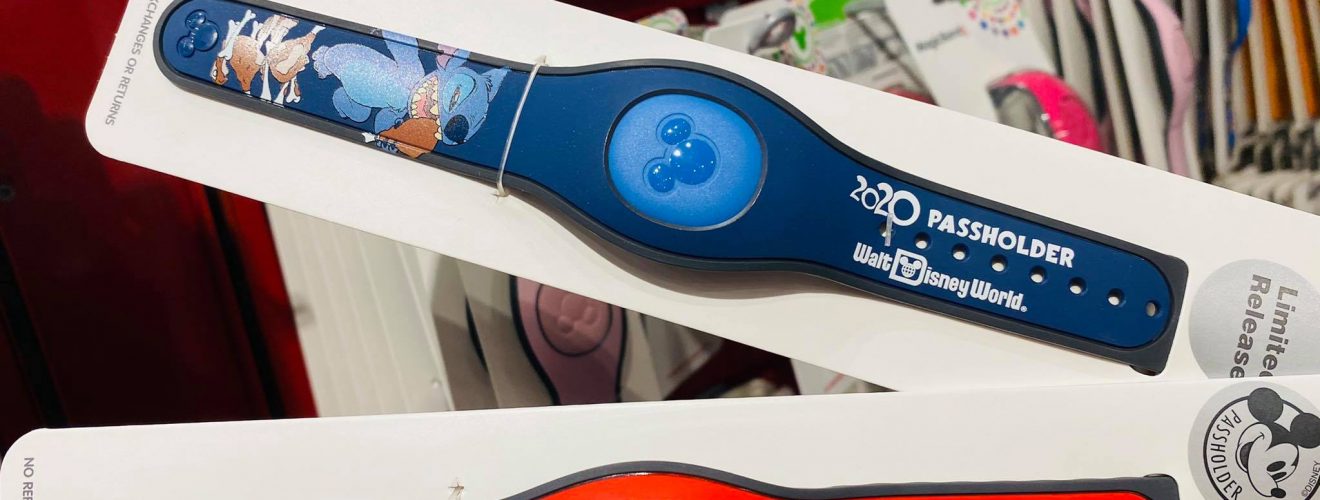 annual passholder magic band