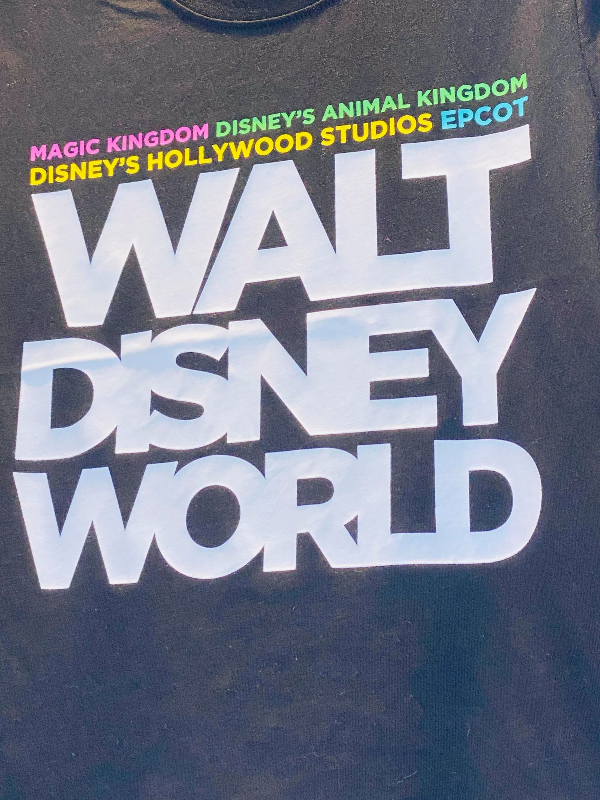 wdw shirt