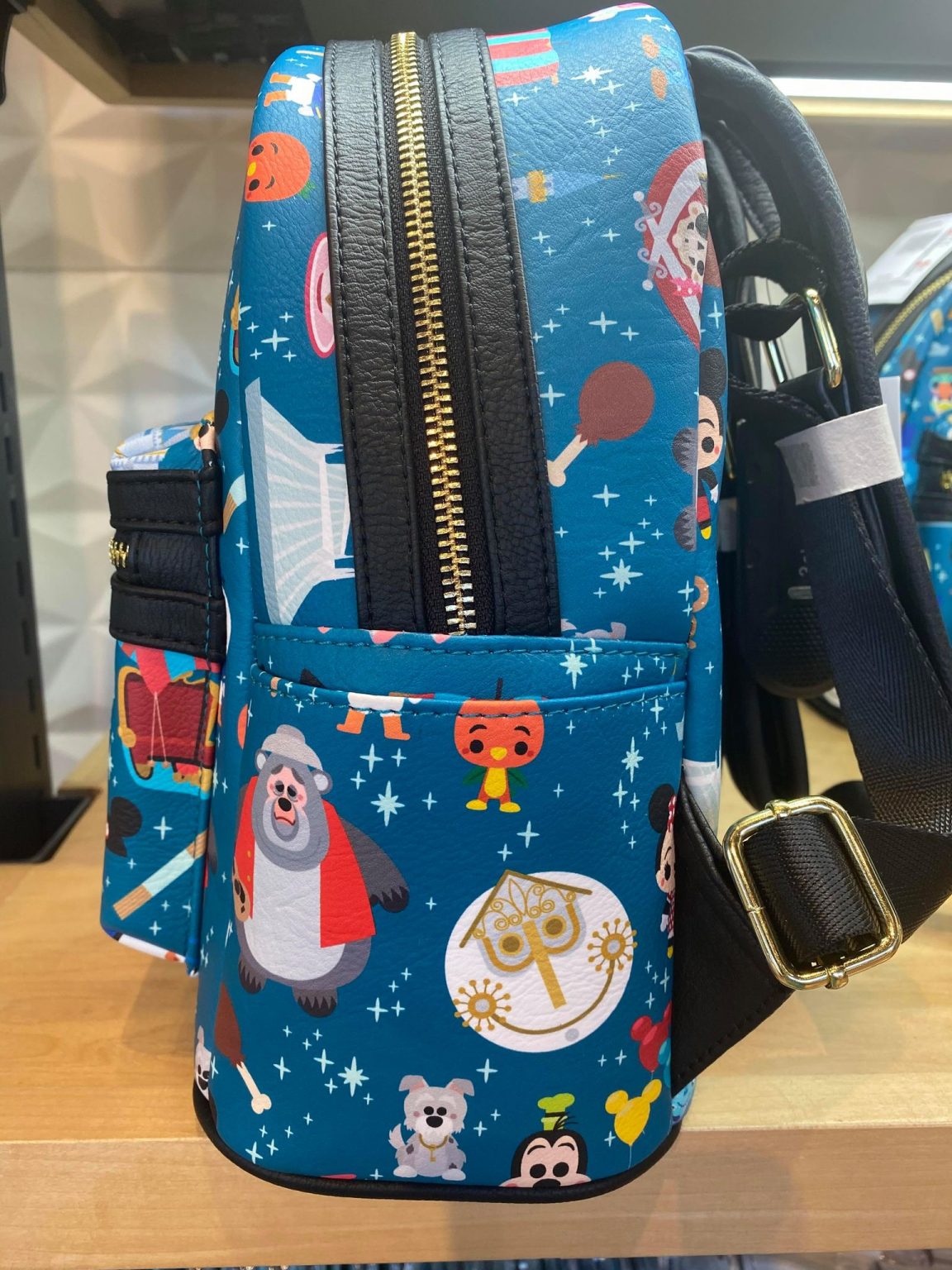 best bags for disney parks