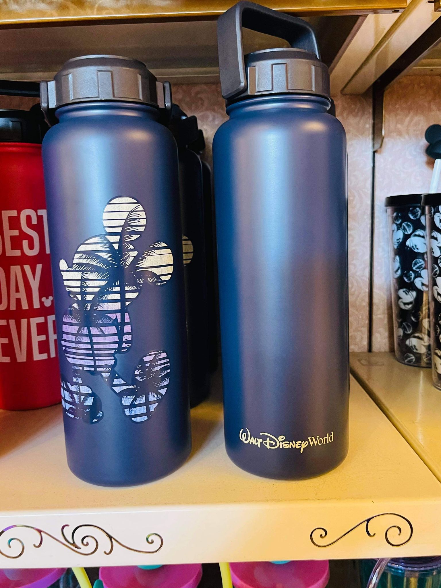 mickey palm tree water bottle