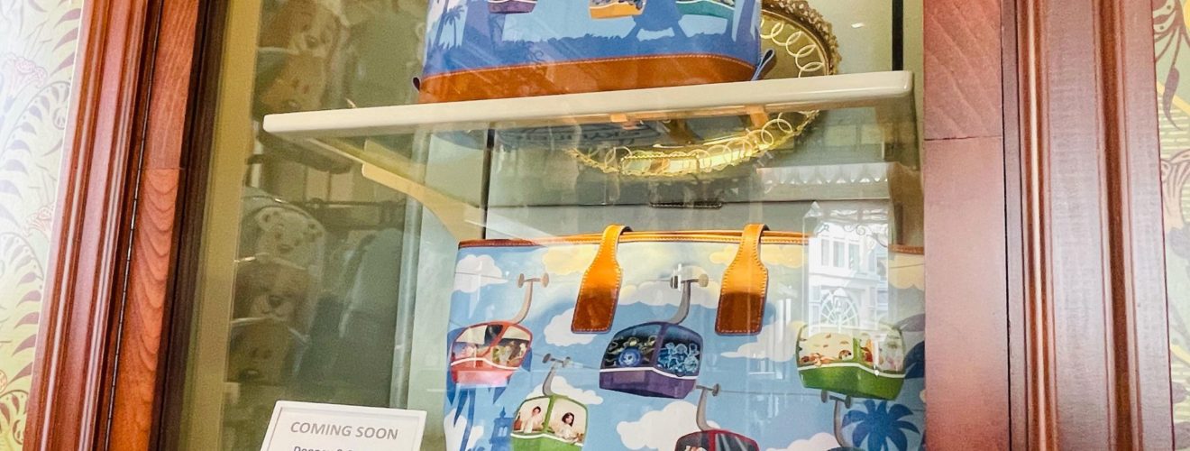 skyliner Dooney and Bourke