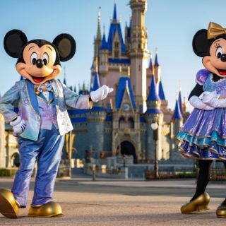 mickey and Minnie's anniversary outfits
