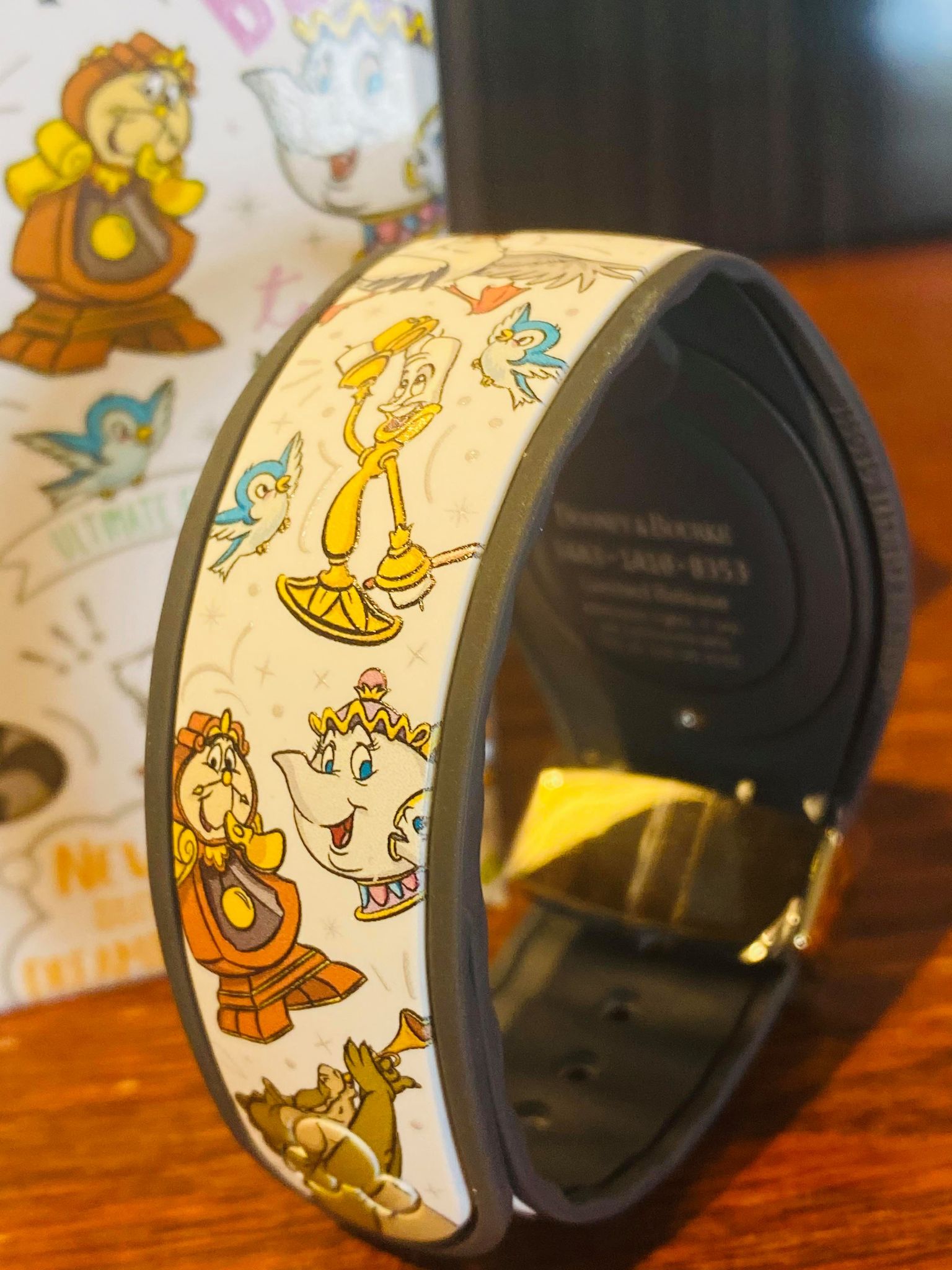There's a New Dooney & Bourke MagicBand Featuring ALL Your Favorite