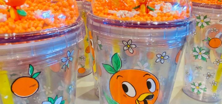 Orange Bird Disney Tumbler With Straw – My Magical Disney Shopper